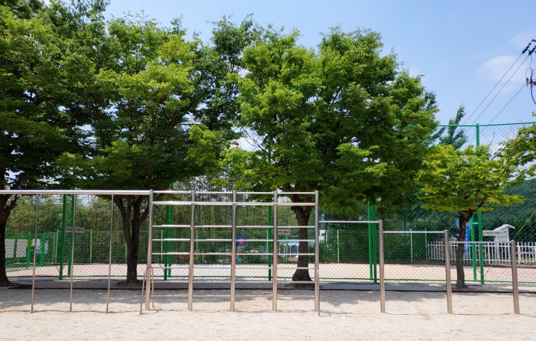 대전서부초등학교 이미지