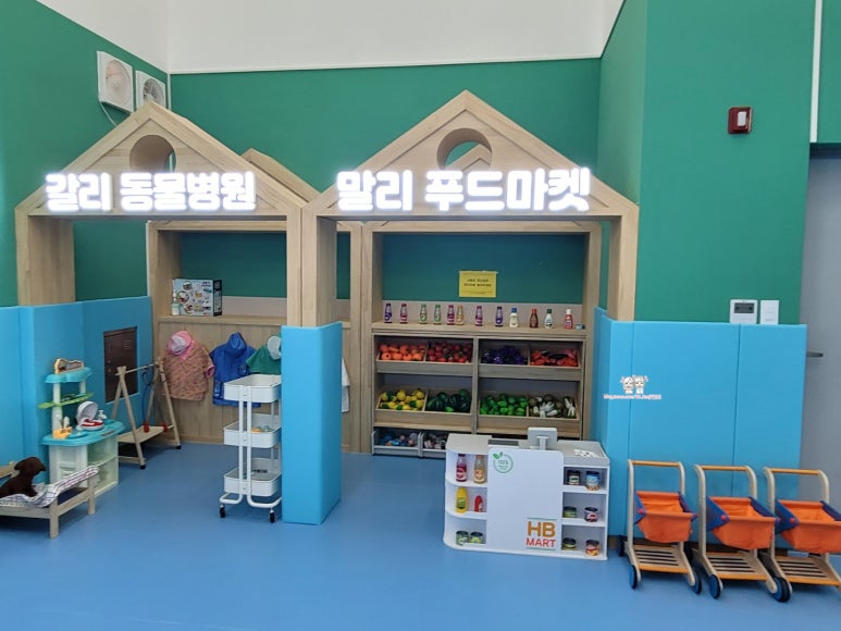 갈리말리 이미지