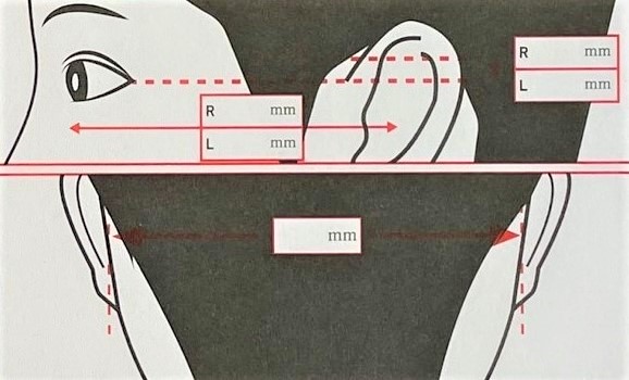 메가웰스 이미지