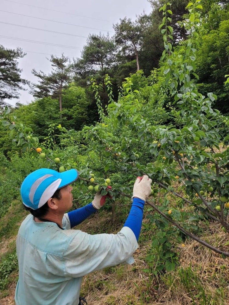 로스터리카페오마르 이미지