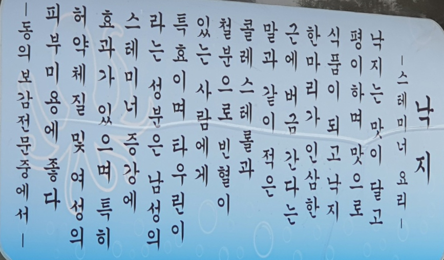 원조갯마을낙지 이미지