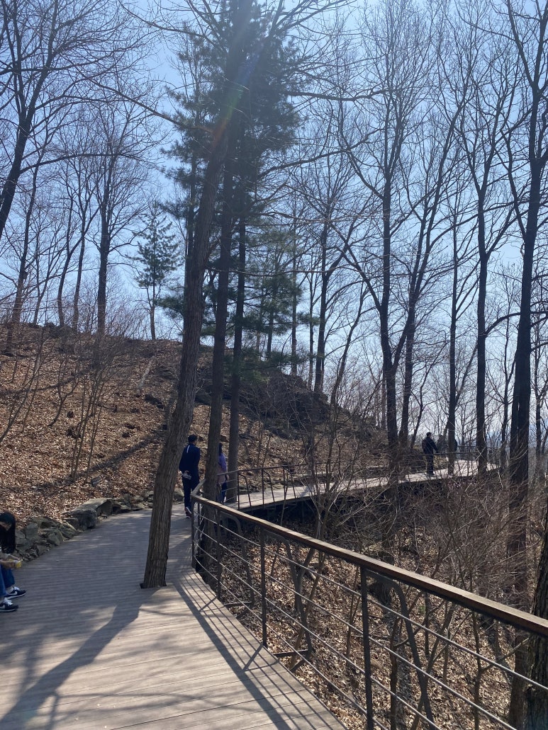 초의숲 이미지