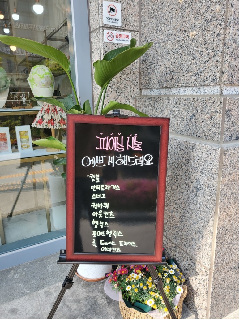 와이.영 이미지