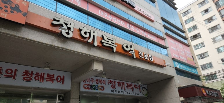 청해복어 이미지