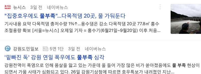 리온피티 이미지