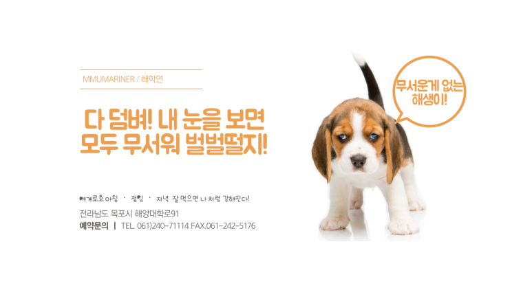 대화취업정보 이미지