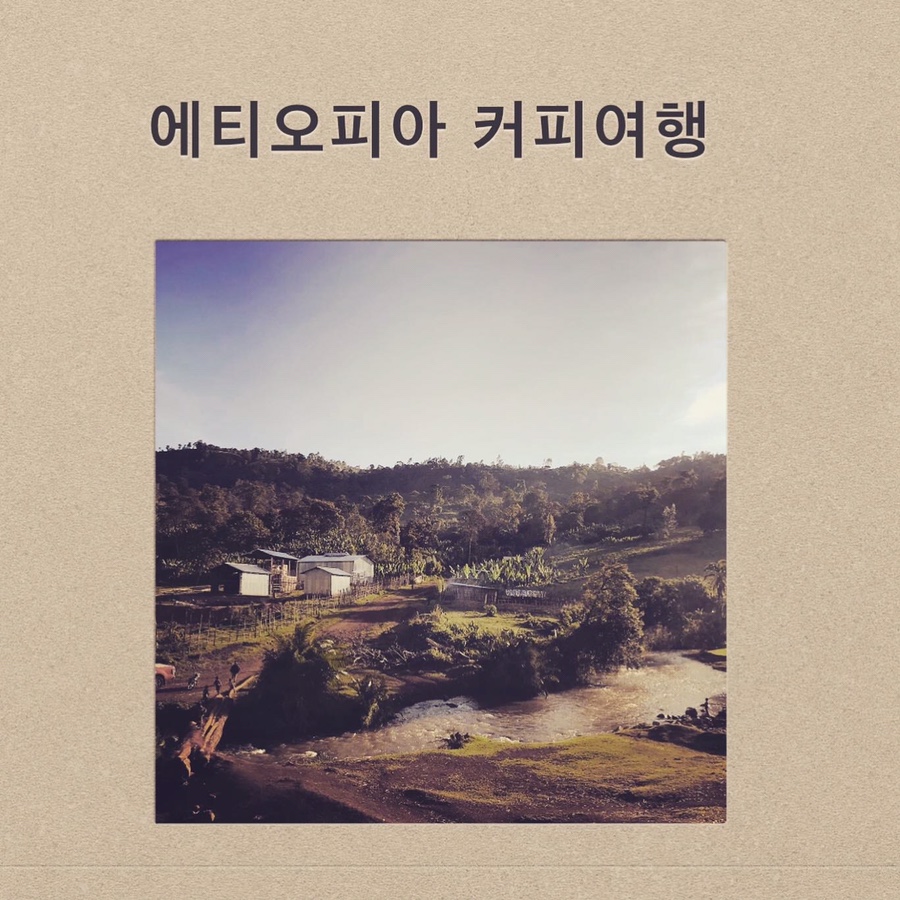 커피여행 이미지