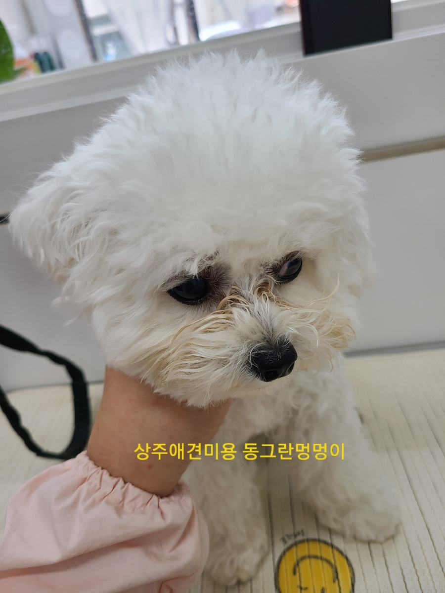 소미미용실 이미지