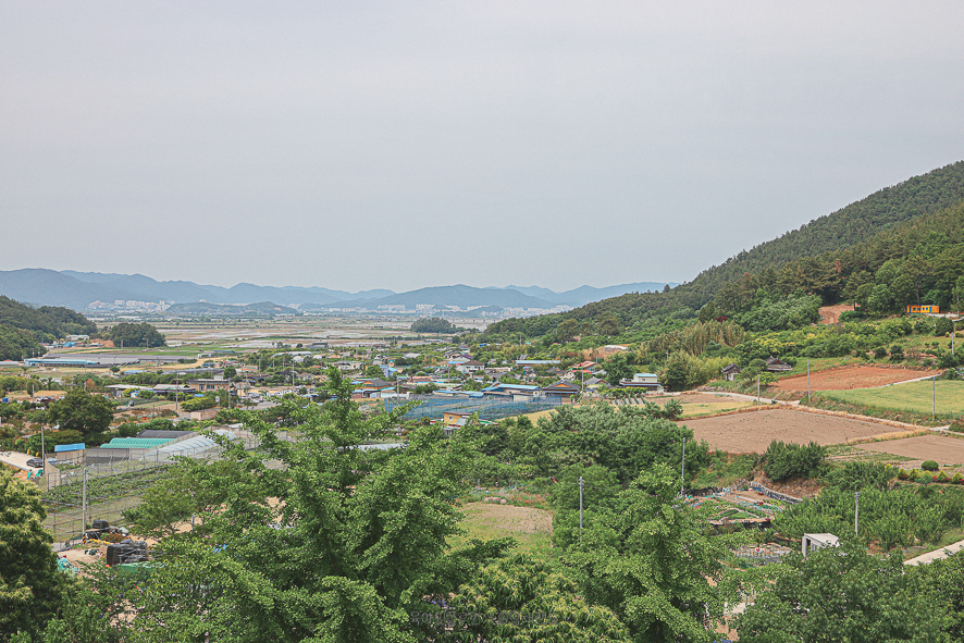(주) 트래버거 이미지
