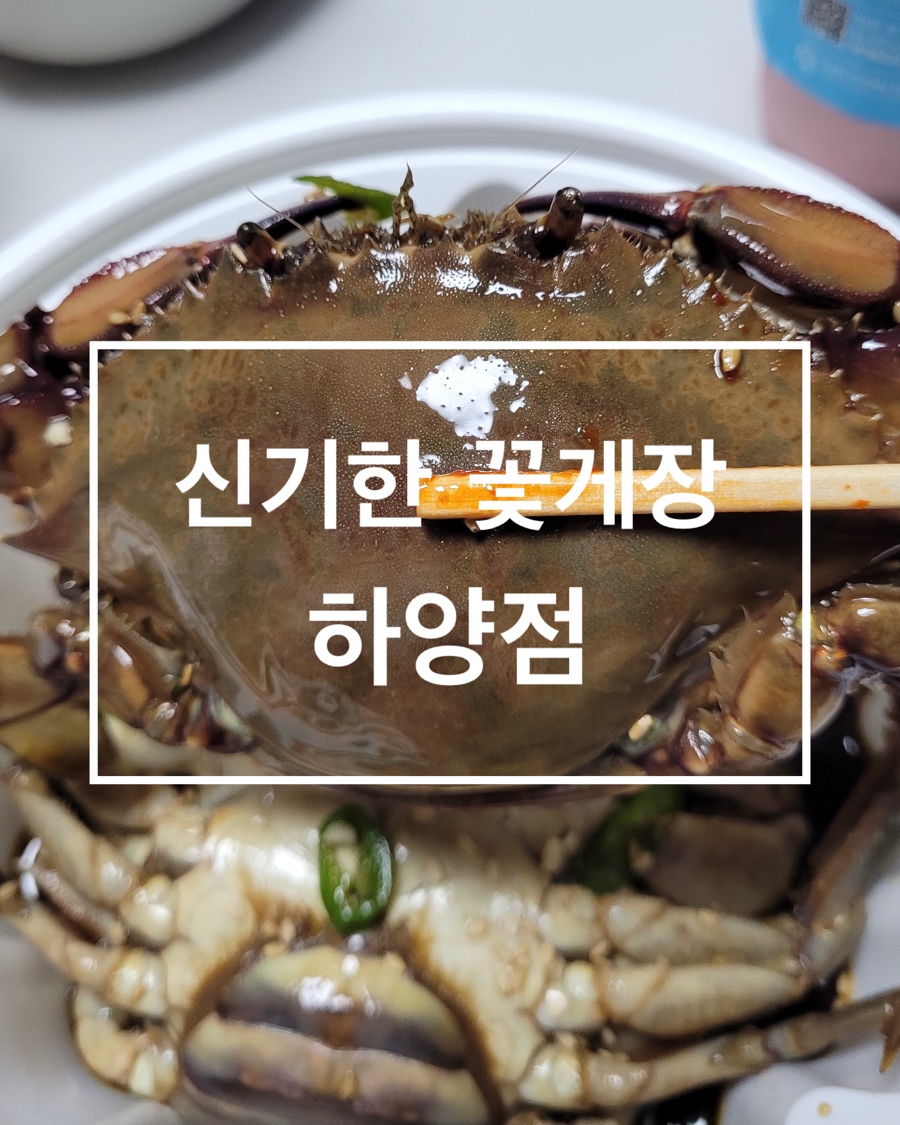 신기한꽃게장 이미지