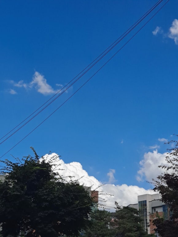 브레드이쉬 이미지