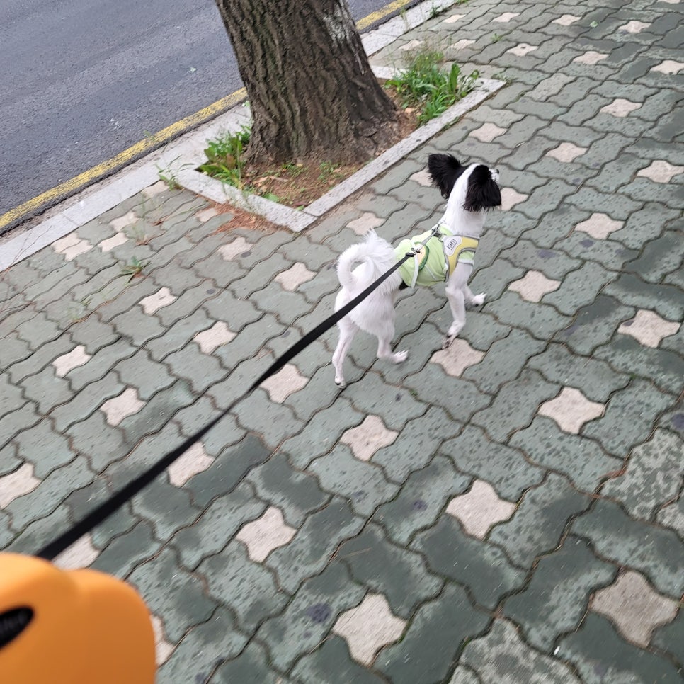 빈베이커리 이미지