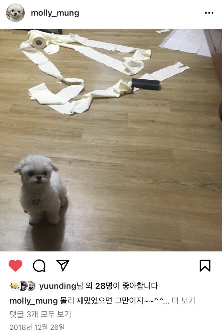 니폰내폰 이미지