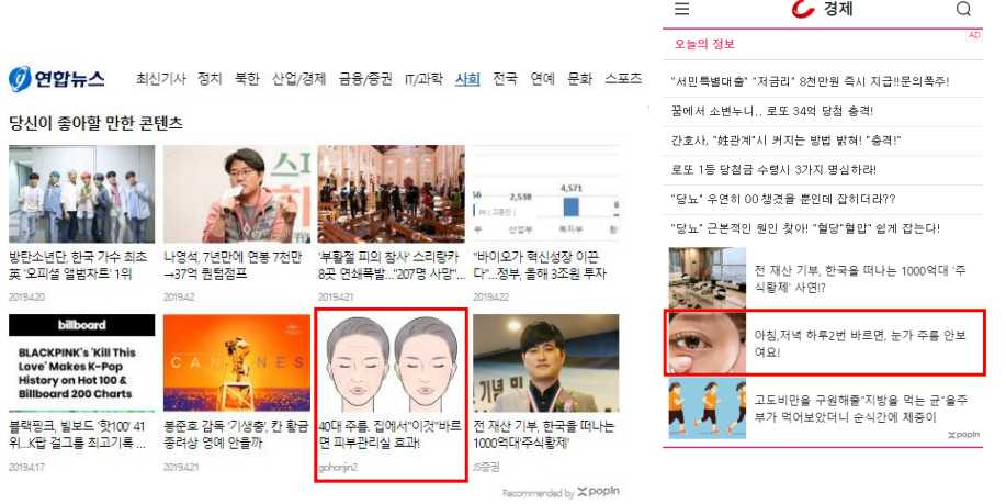 포핀 이미지