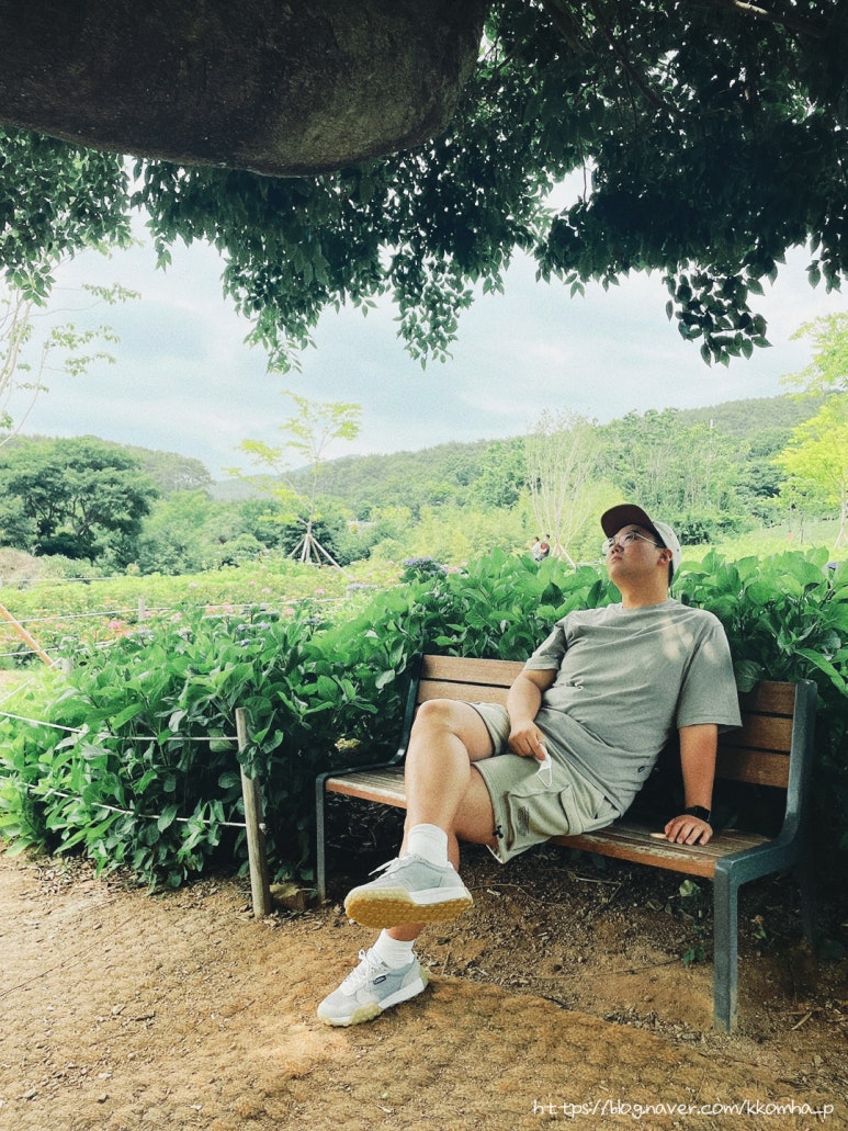 남일대아지트 이미지