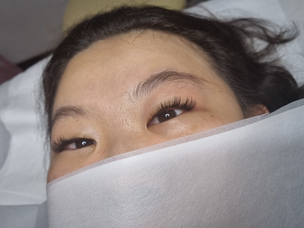 캣츠래쉬 이미지