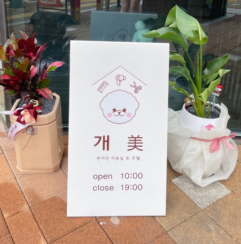 개미미용실 이미지