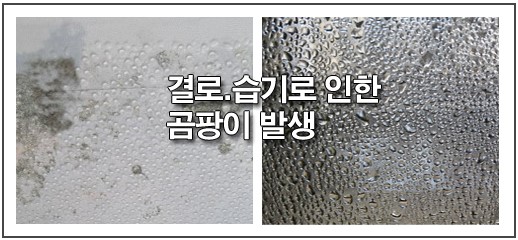 청ENG 이미지