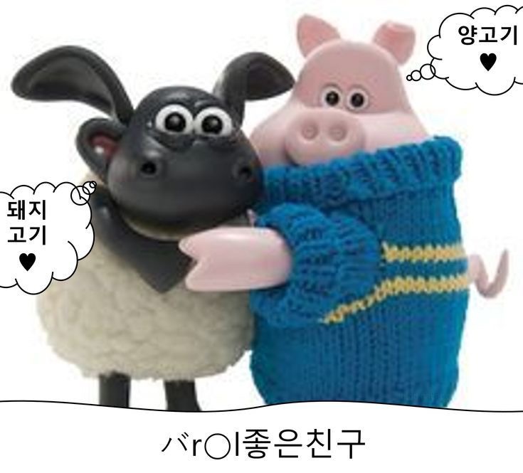비전플라워 이미지