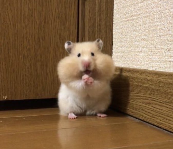 동네카페 이미지