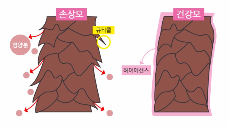 올댓헤어 이미지