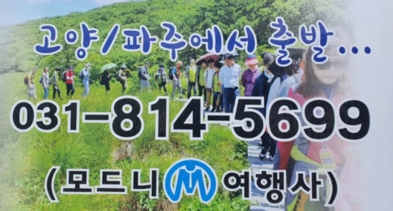 모드니숲 이미지