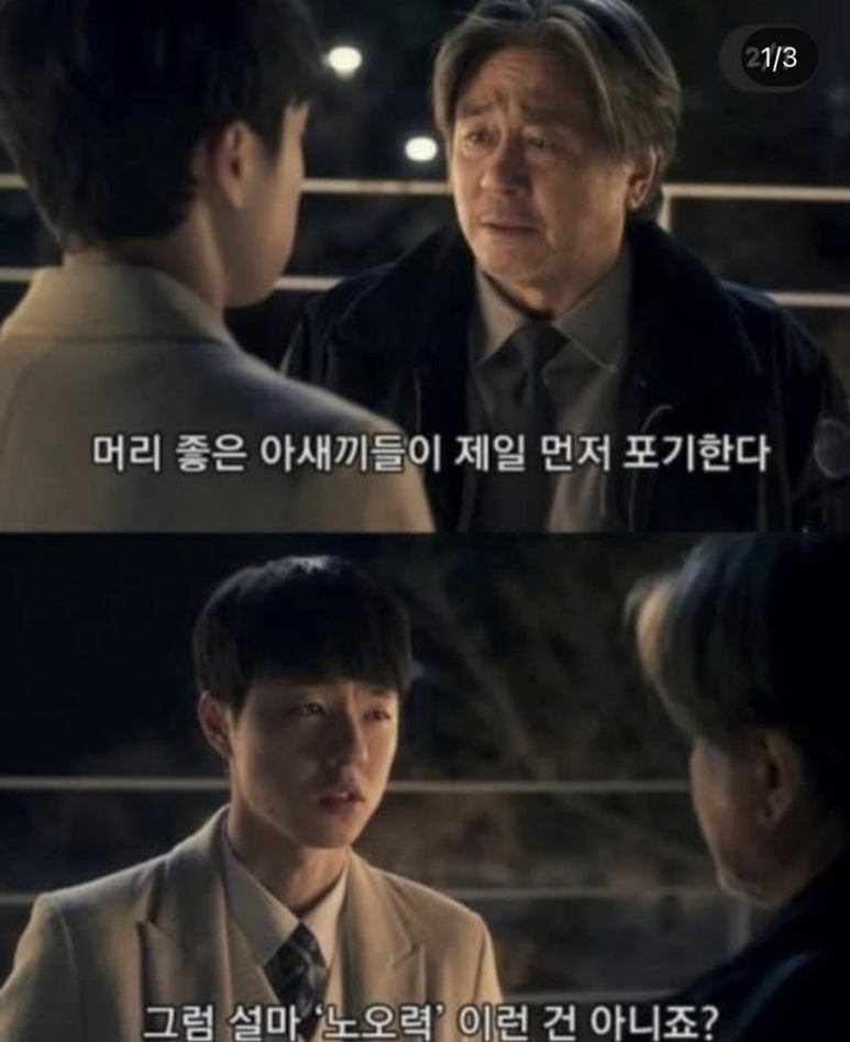 렉토피아 이미지
