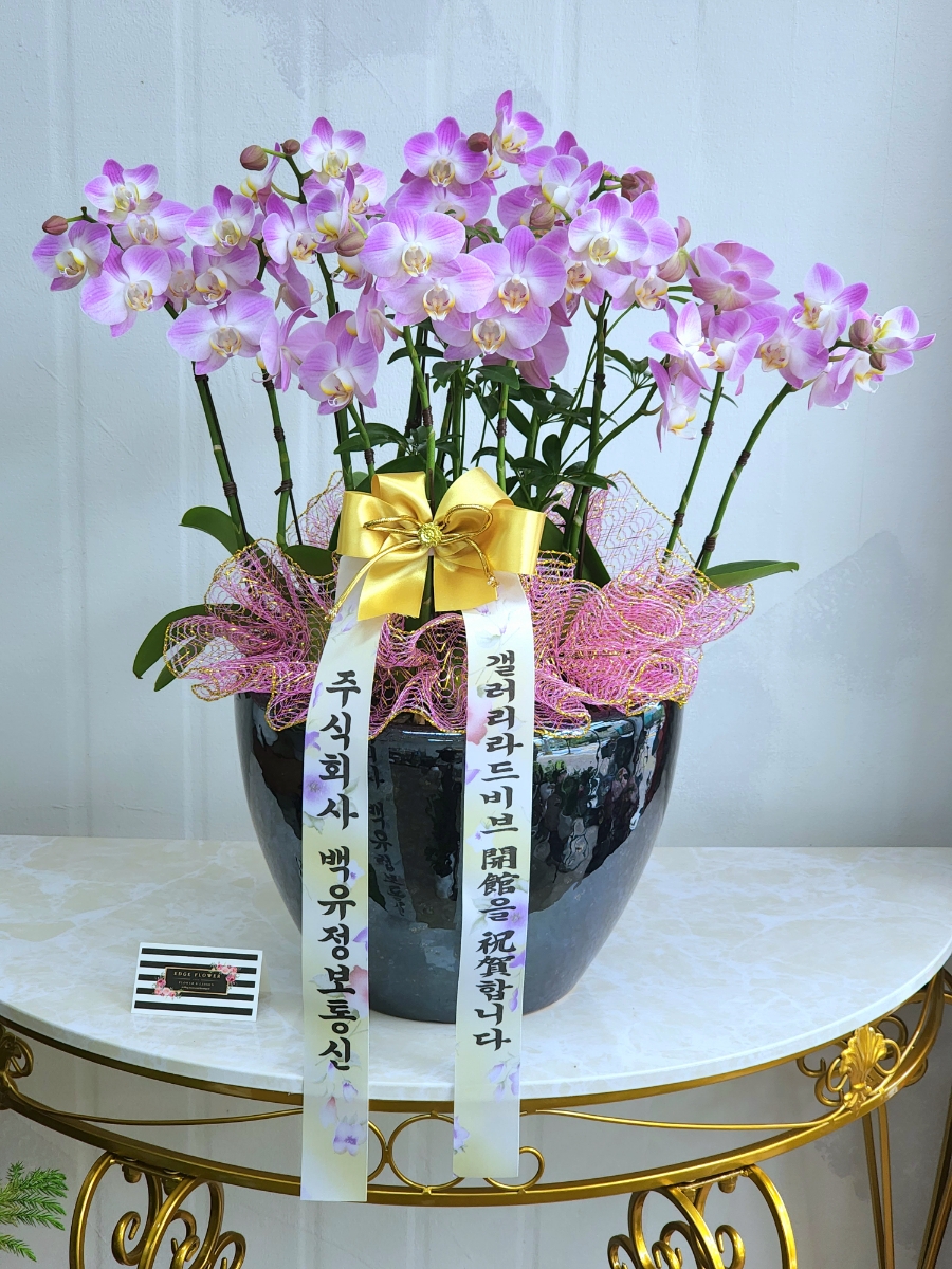 갤러리라드비브 이미지