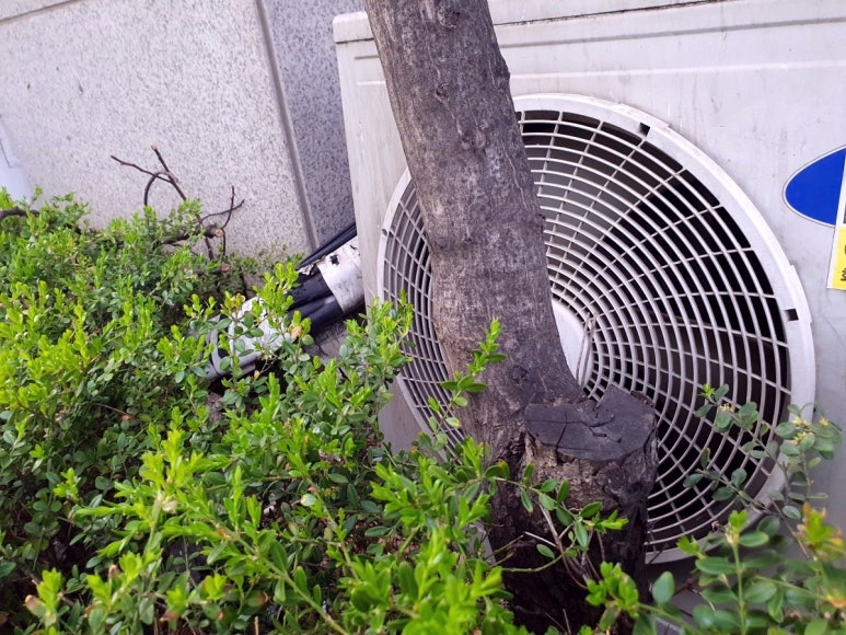 끝장청소 이미지