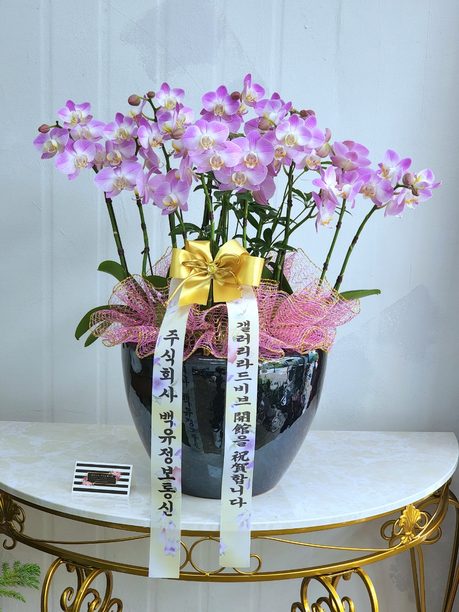 갤러리라드비브 이미지