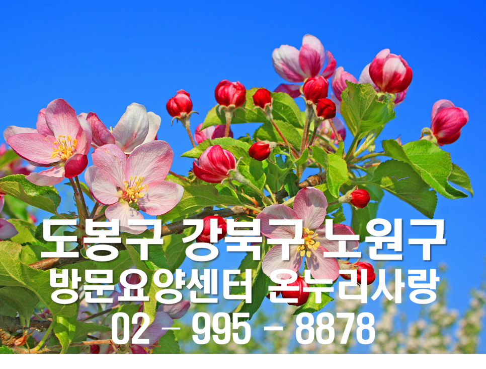 사랑돌봄재가복지센터.복지용구 이미지