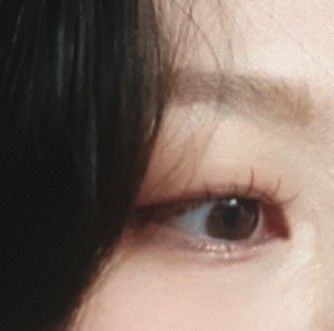 수련속눈썹 이미지