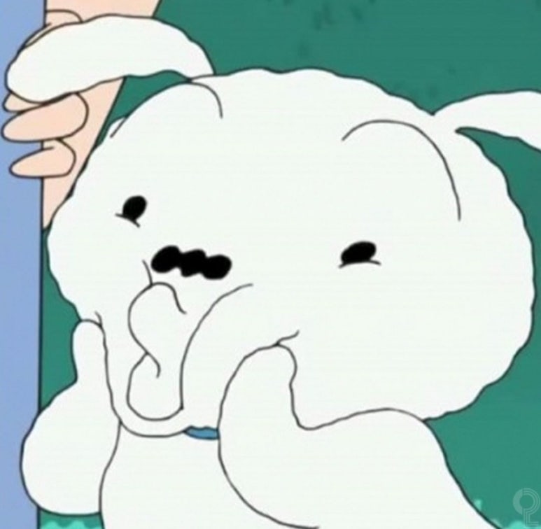 미소가인 이미지