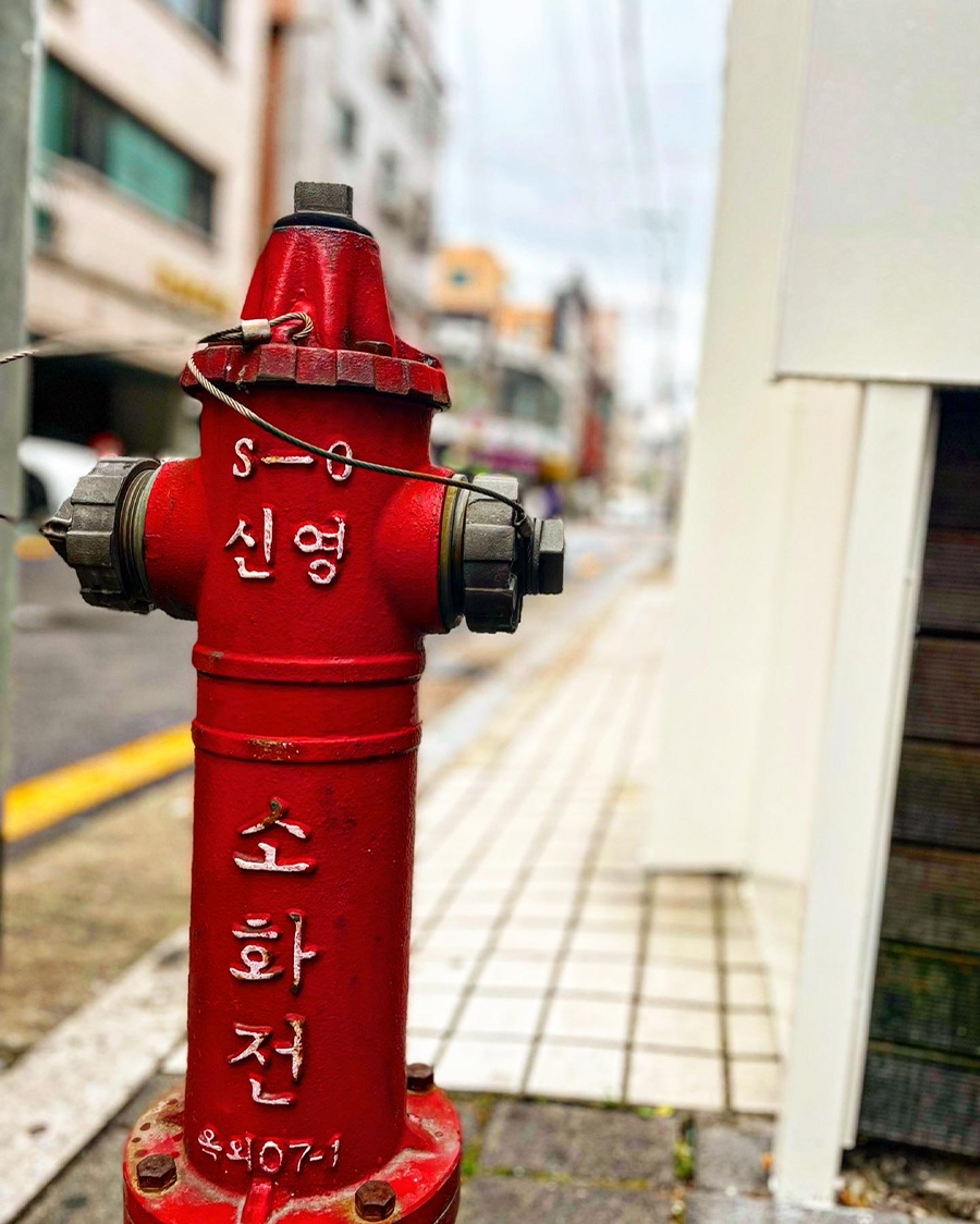 윤동희119닭발 이미지