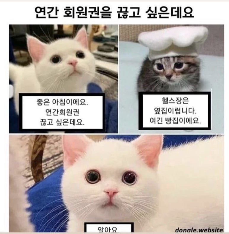 속초밤하늘글램핑 이미지