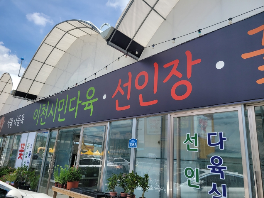 전원다육 이미지