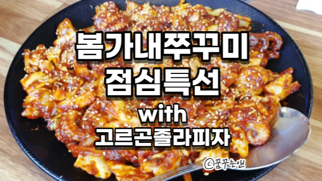 봄가내쭈꾸미 이미지