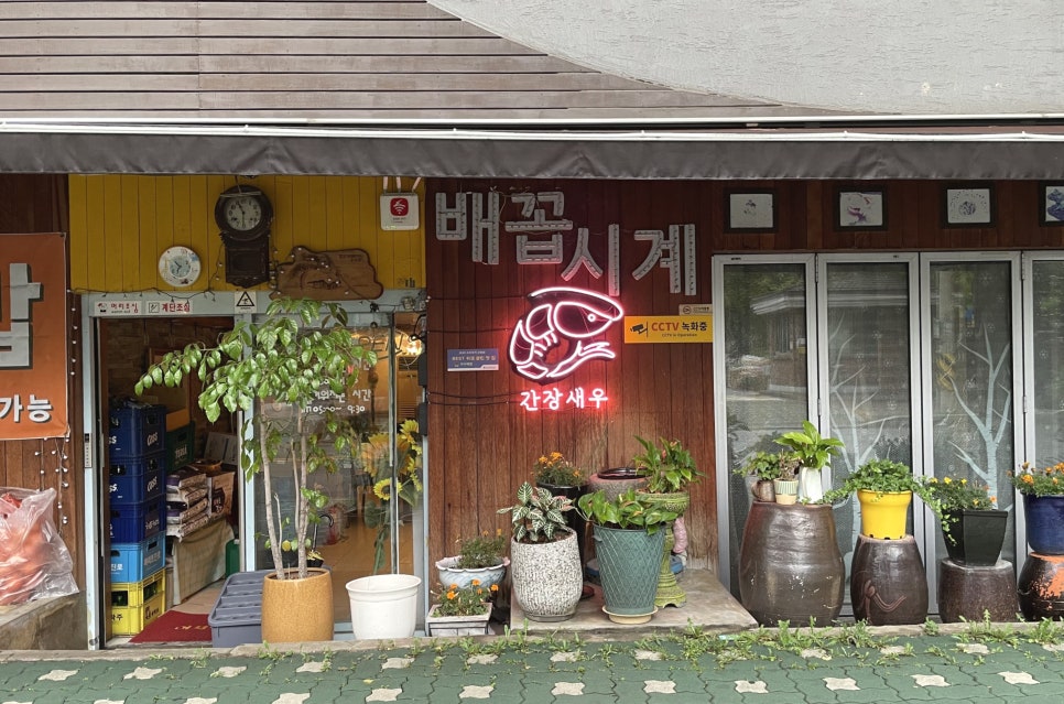 배꼽시계집 이미지