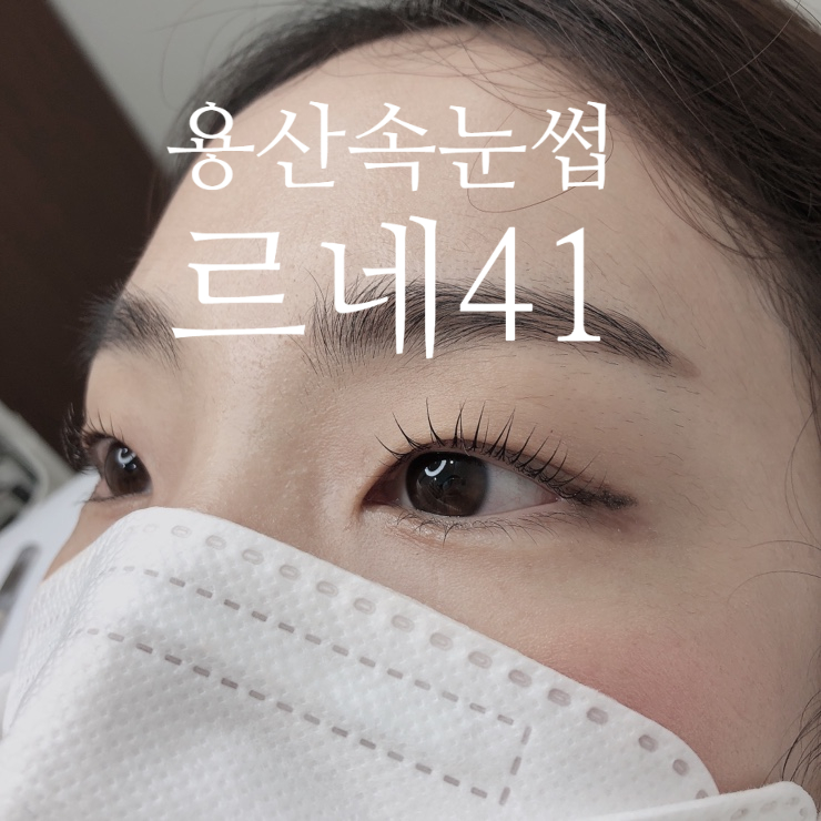 르네41 이미지
