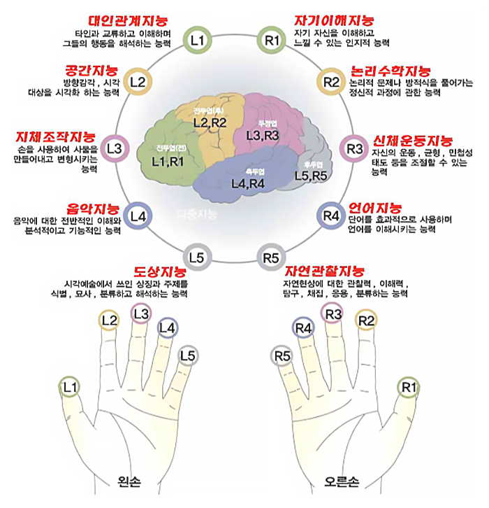 한국다중지능적성평가원 이미지