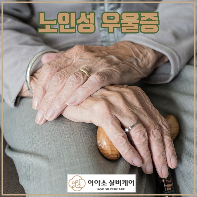 이아소실버케어 이미지