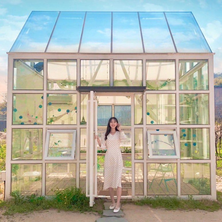 플로레소 이미지