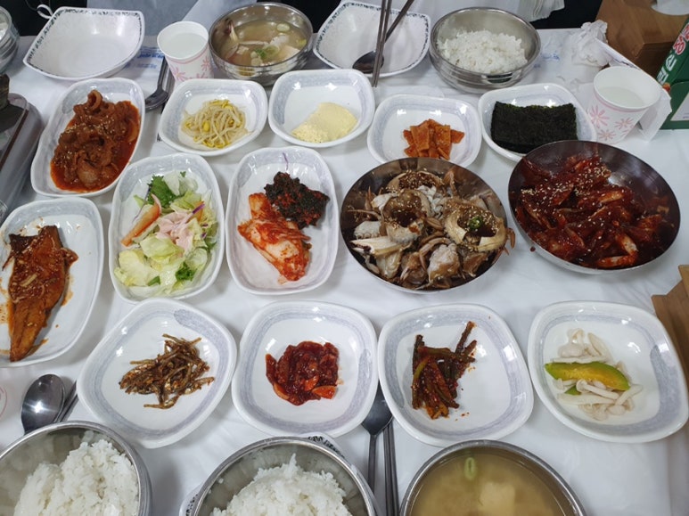 다함엑스포 이미지