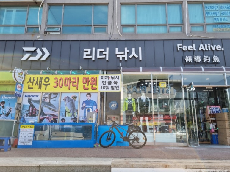 시화낚시 이미지