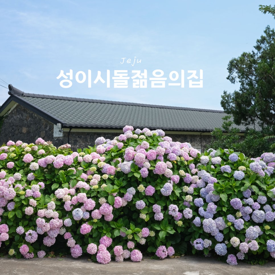성이시돌젊음의집 이미지