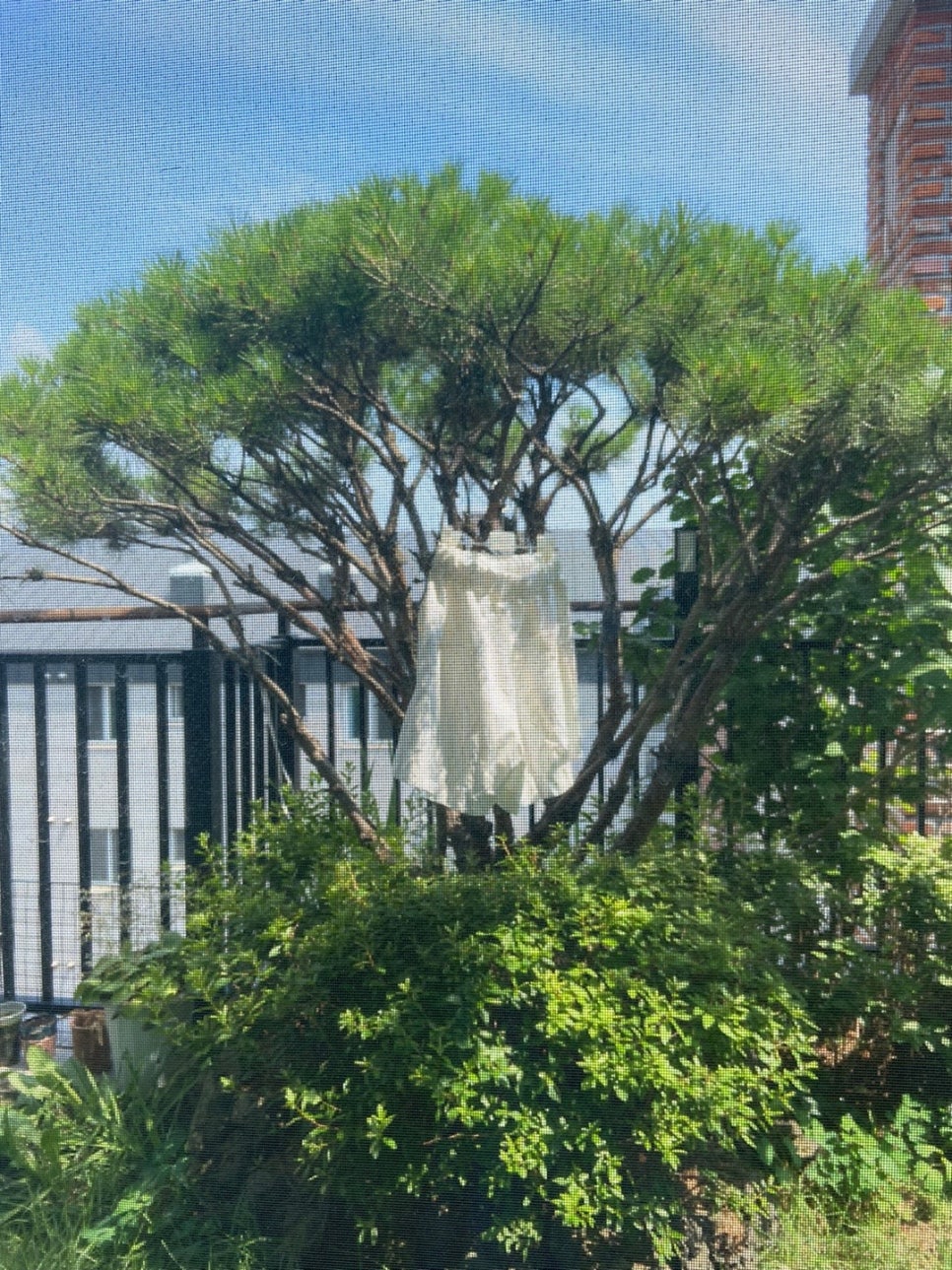 서이축산 이미지