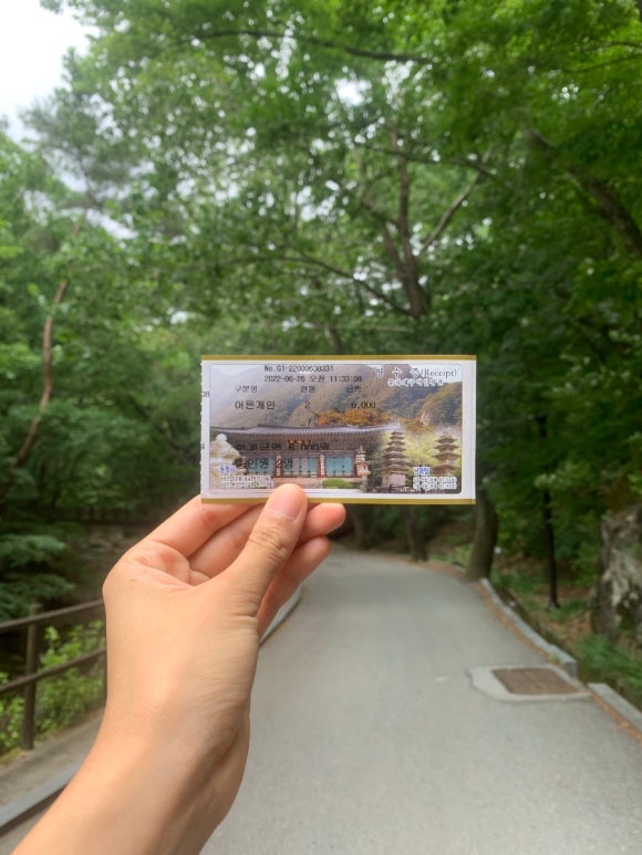 계룡산글램핑동월숲 이미지