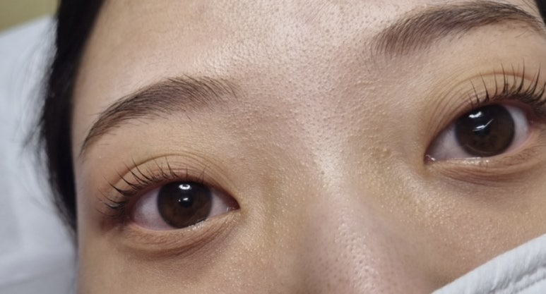 캣츠래쉬 이미지
