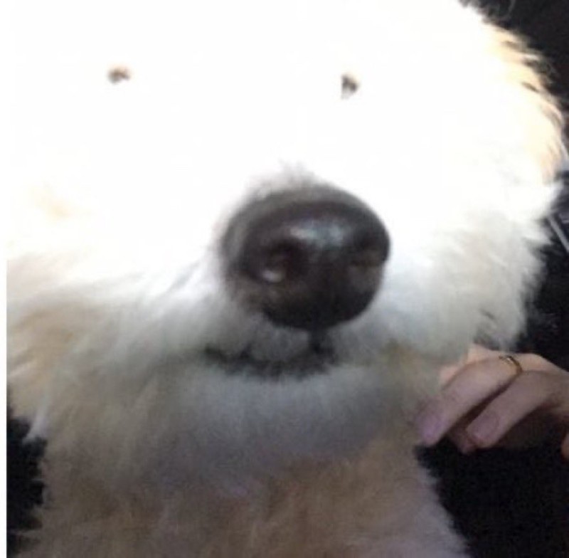매일, 밥 이미지