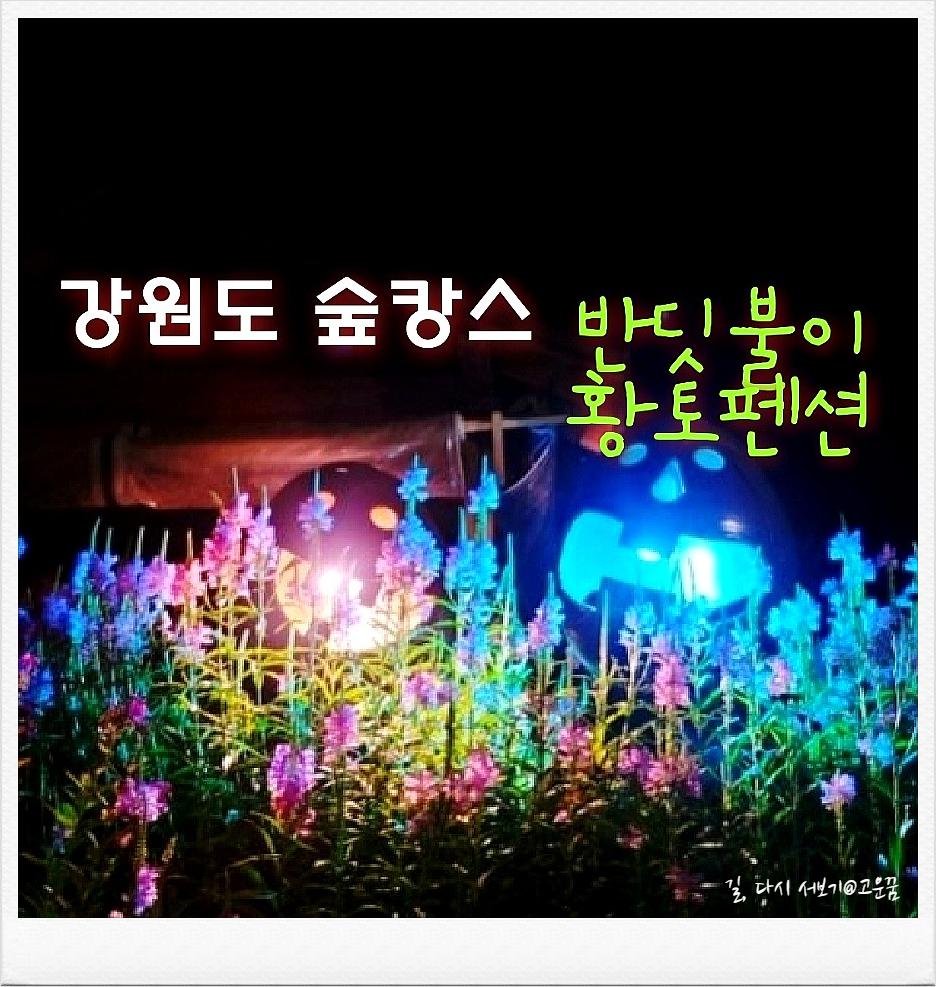 하늘숲황토펜션 이미지